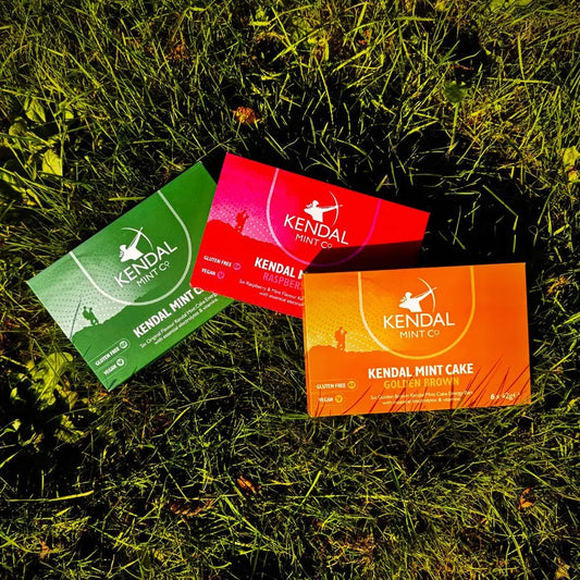 Kendal Mint Cake Energieriegel-Bundle – Gemischte Geschmacksrichtungen