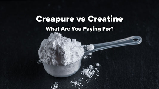 Creapure vs Creatine: What Are You Paying For?