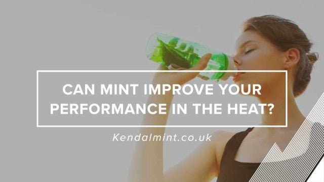 Can Mint Improve your performance in the heat? - Kendal Mint Co®